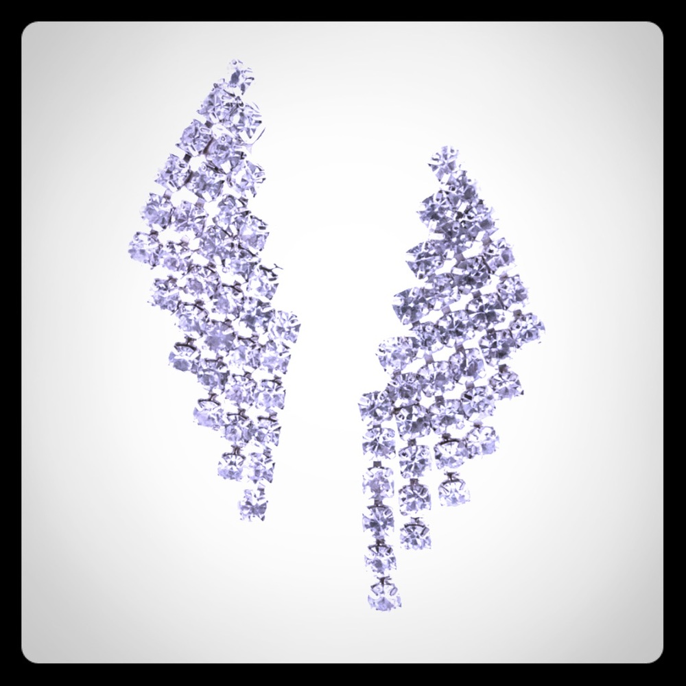 🛍2 for $20🛍 NWT Silver Crystal Earrings